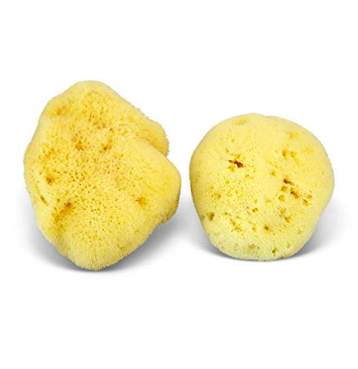 Natural Sea Sponge - Zero Waste Organic Sponge - Plastic Free Biodegradable Bath Sponge-5
